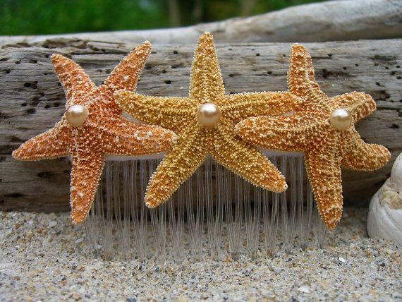 Detail Starfish Hair Comb Nomer 45