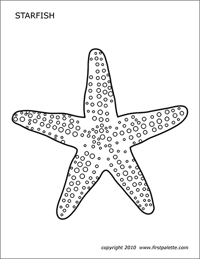 Detail Starfish Image Nomer 44