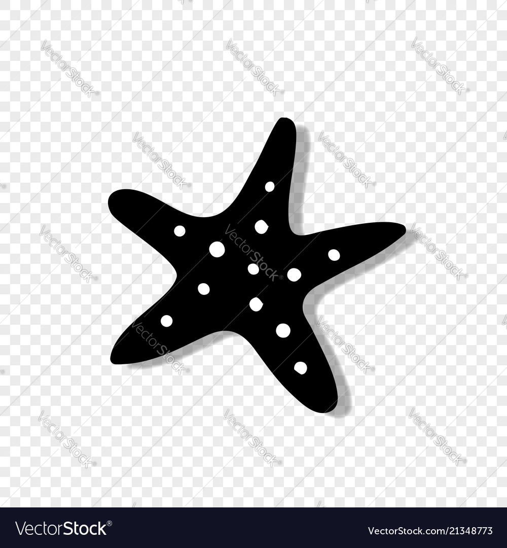 Detail Starfish No Background Nomer 26