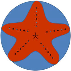 Detail Starfish Paper Plates Nomer 8