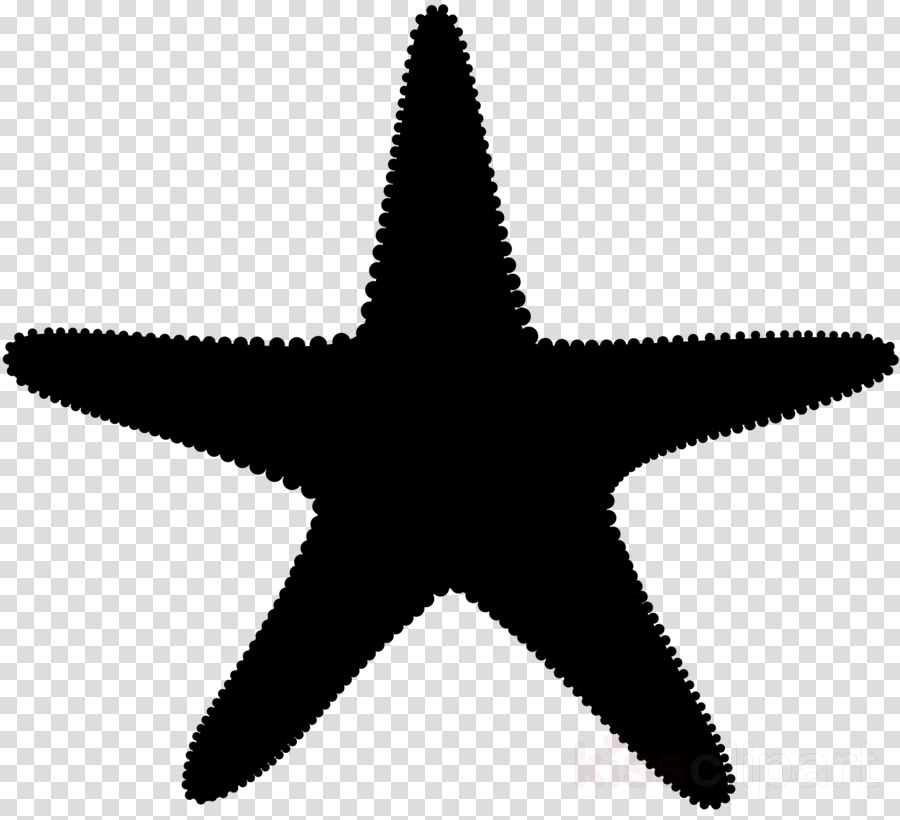 Detail Starfish Silhouette Clip Art Nomer 31