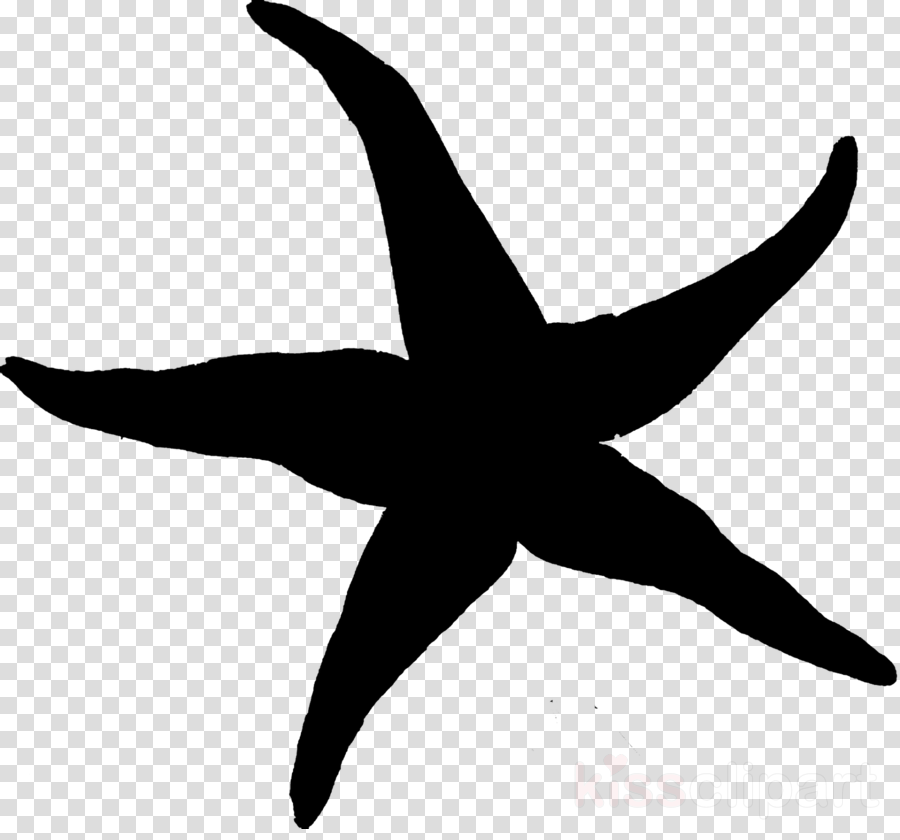 Detail Starfish Silhouette Clip Art Nomer 46