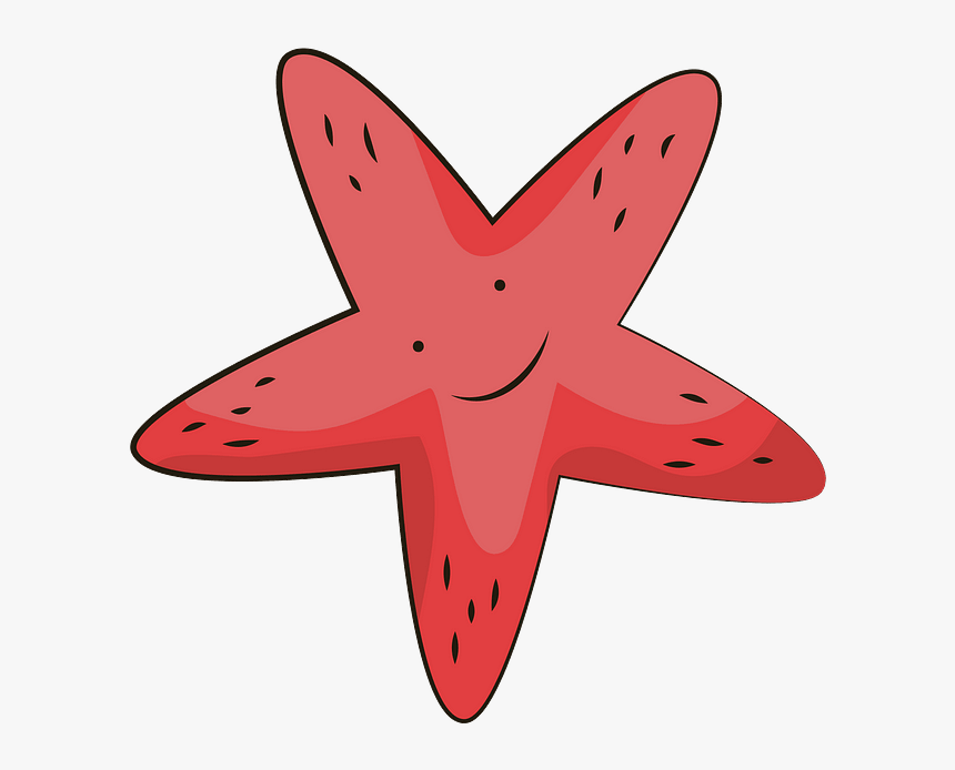 Detail Starfish Silhouette Png Nomer 41