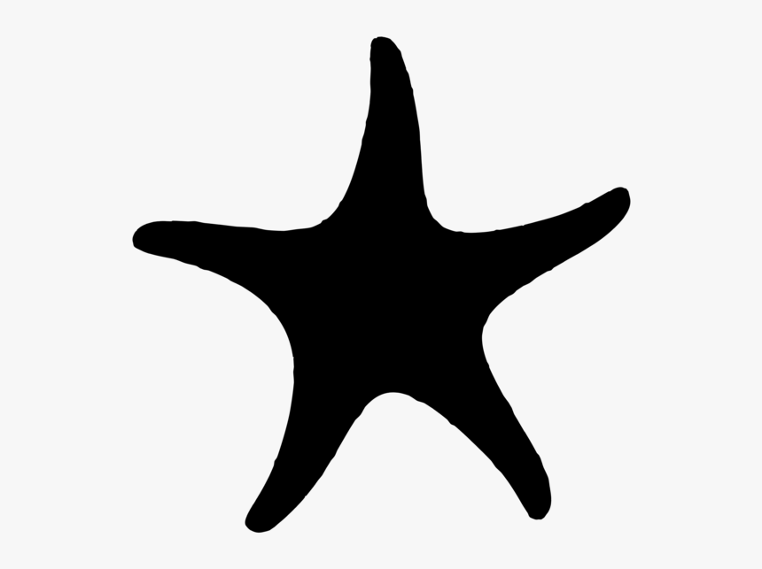 Detail Starfish Silhouette Png Nomer 8