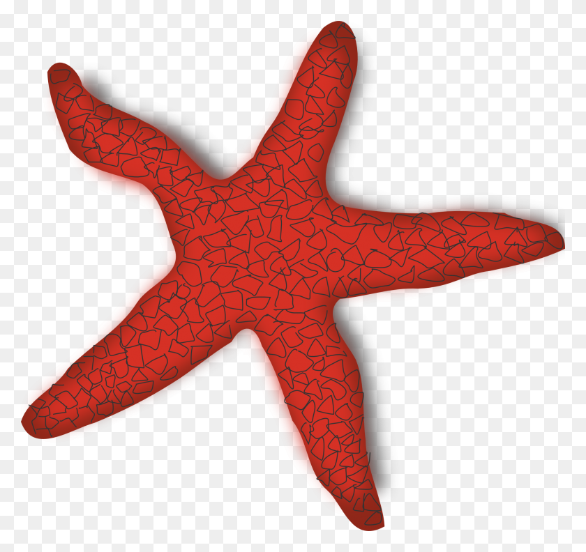 Detail Starfish Transparent Nomer 27