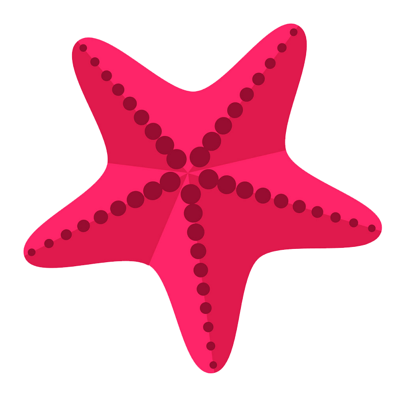 Detail Starfish Transparent Nomer 41