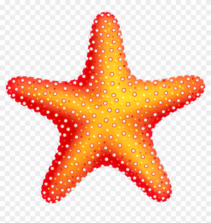 Detail Starfish Transparent Nomer 5