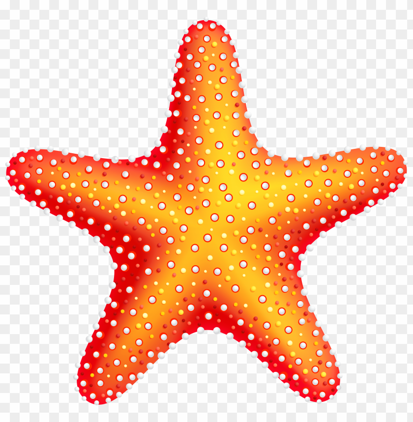 Detail Starfish Transparent Background Nomer 10