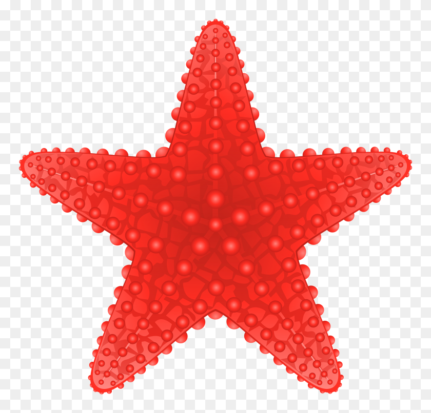 Detail Starfish Transparent Background Nomer 23