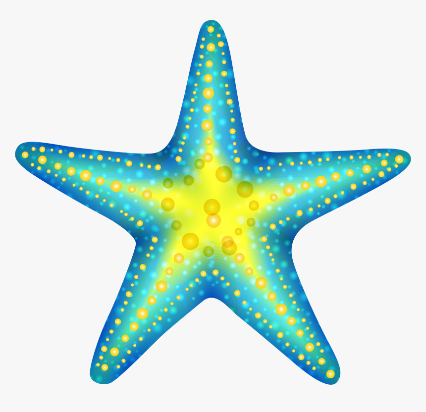 Detail Starfish Transparent Background Nomer 25
