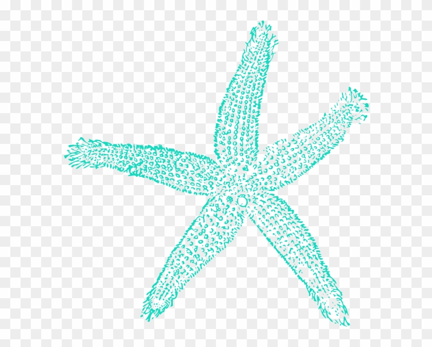 Detail Starfish Transparent Background Nomer 30