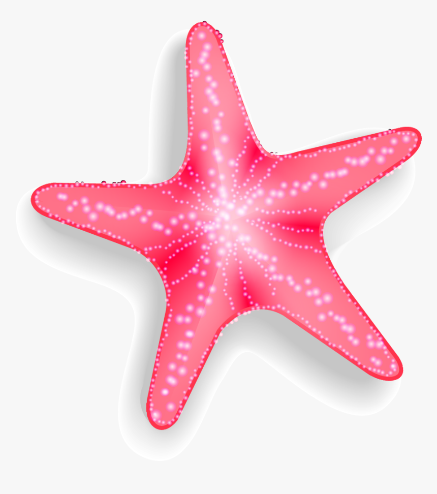 Detail Starfish Transparent Background Nomer 45