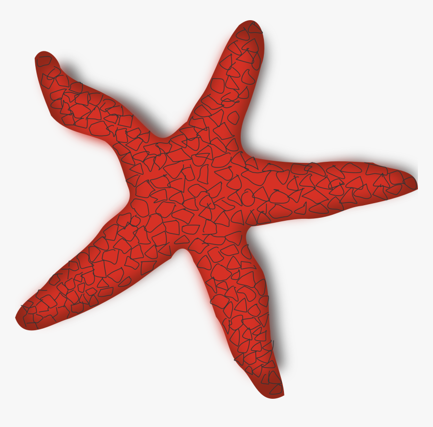 Detail Starfish Transparent Background Nomer 47