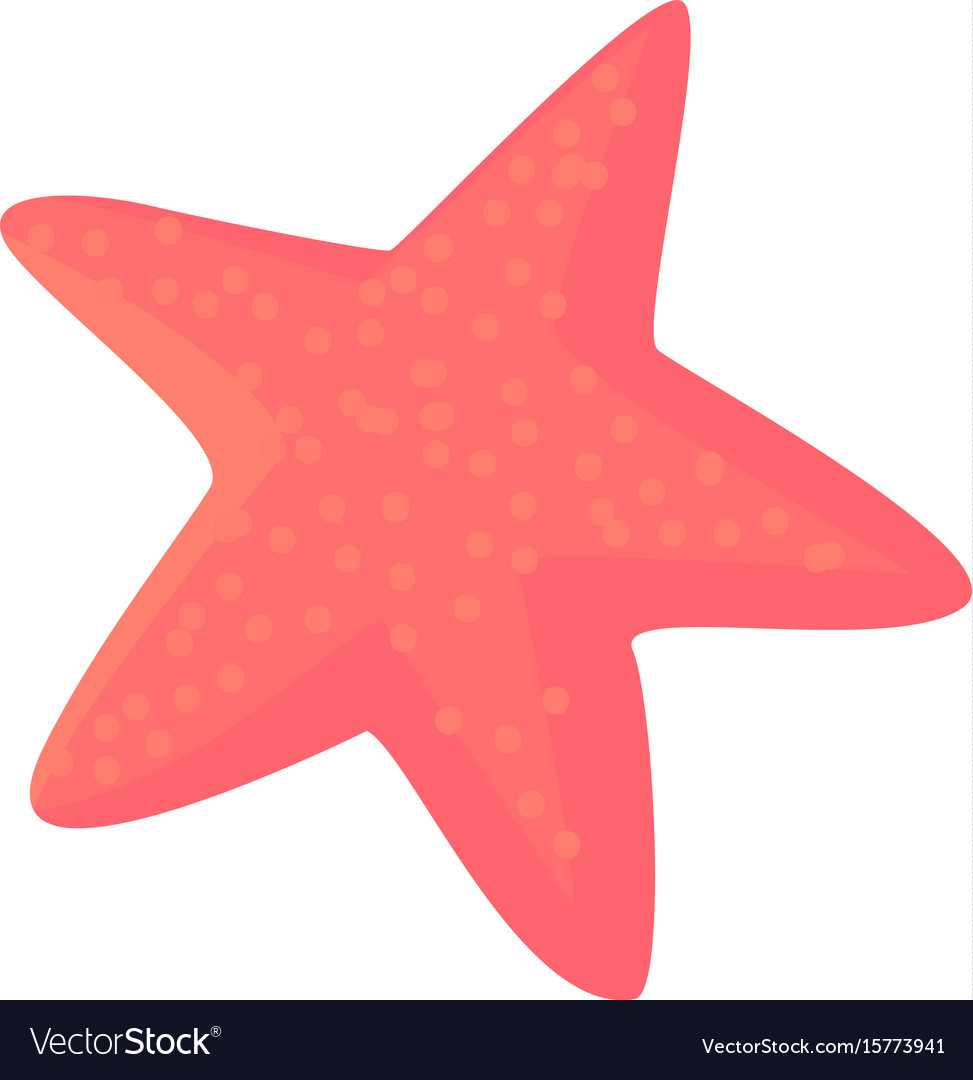 Detail Starfish Vector Png Nomer 17