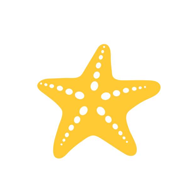 Detail Starfish Vector Png Nomer 26