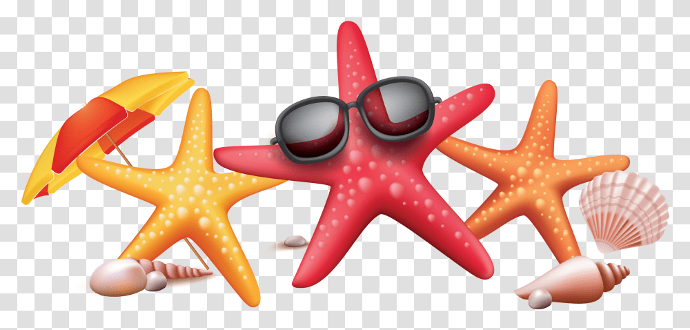 Detail Starfish Vector Png Nomer 32