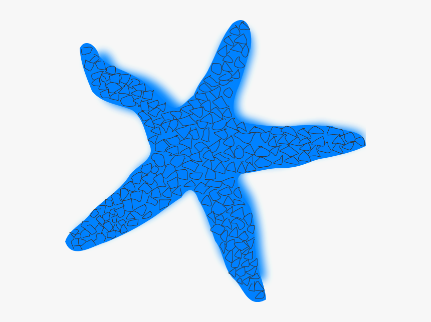 Detail Starfish Vector Png Nomer 38