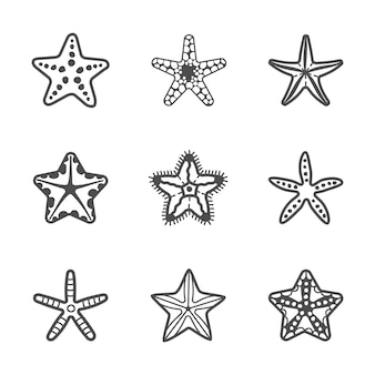 Detail Starfish Vector Png Nomer 45