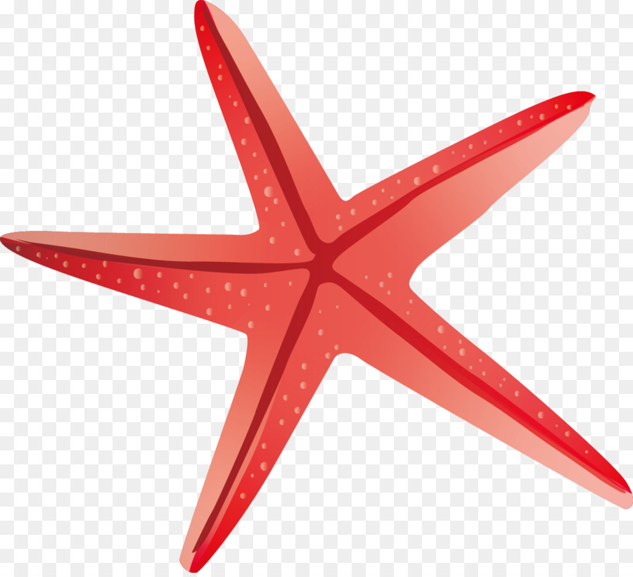 Detail Starfish Vector Png Nomer 51