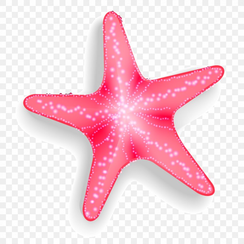 Download Starfish Vector Png Nomer 9