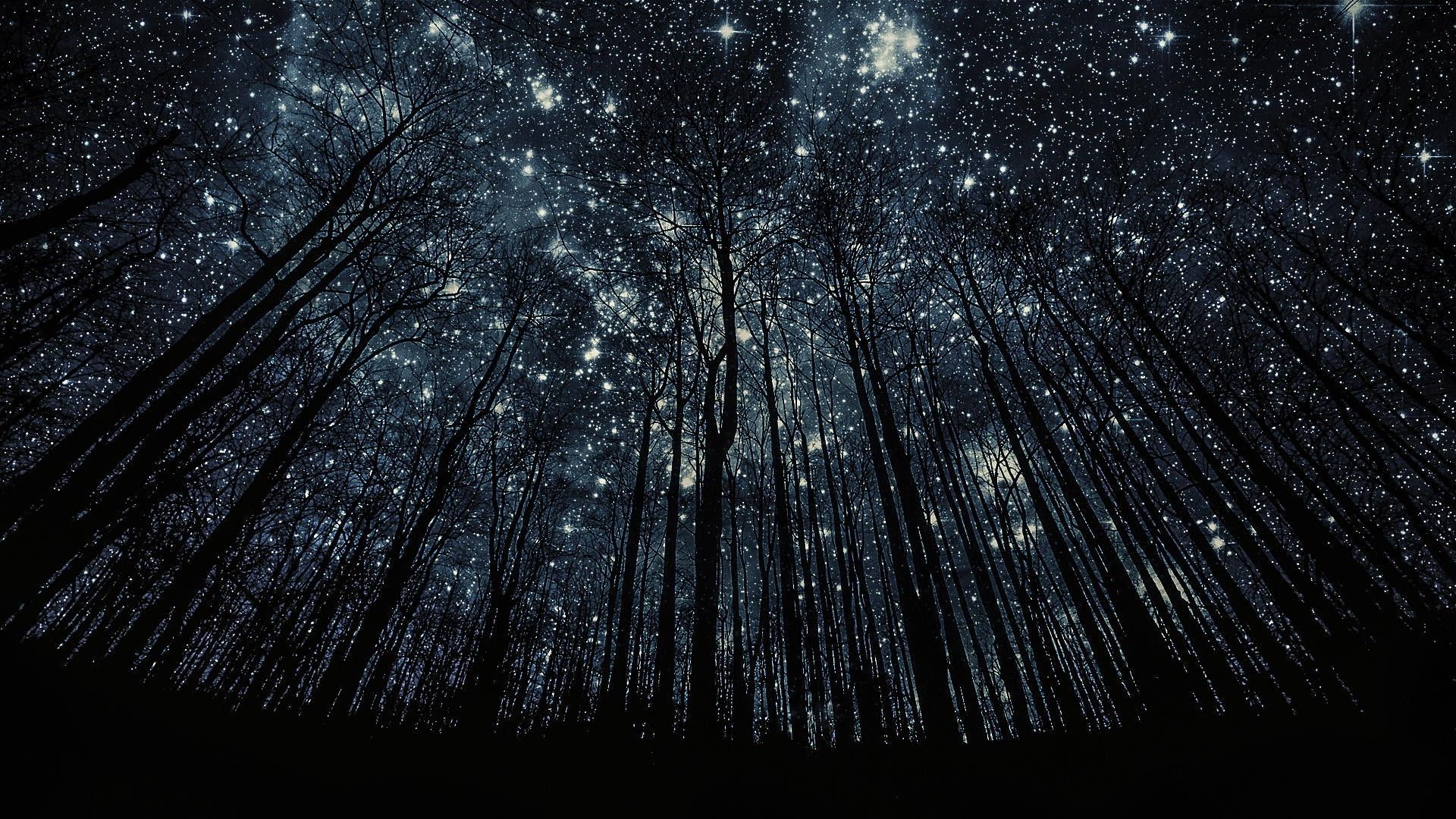 Detail Stars Wallpaper Hd Nomer 12