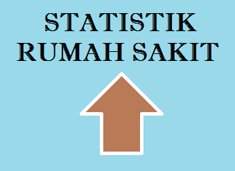 Detail Statistik Rumah Sakit Nomer 20