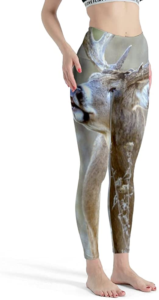 Detail Statue Of David Leggings Amazon Nomer 8