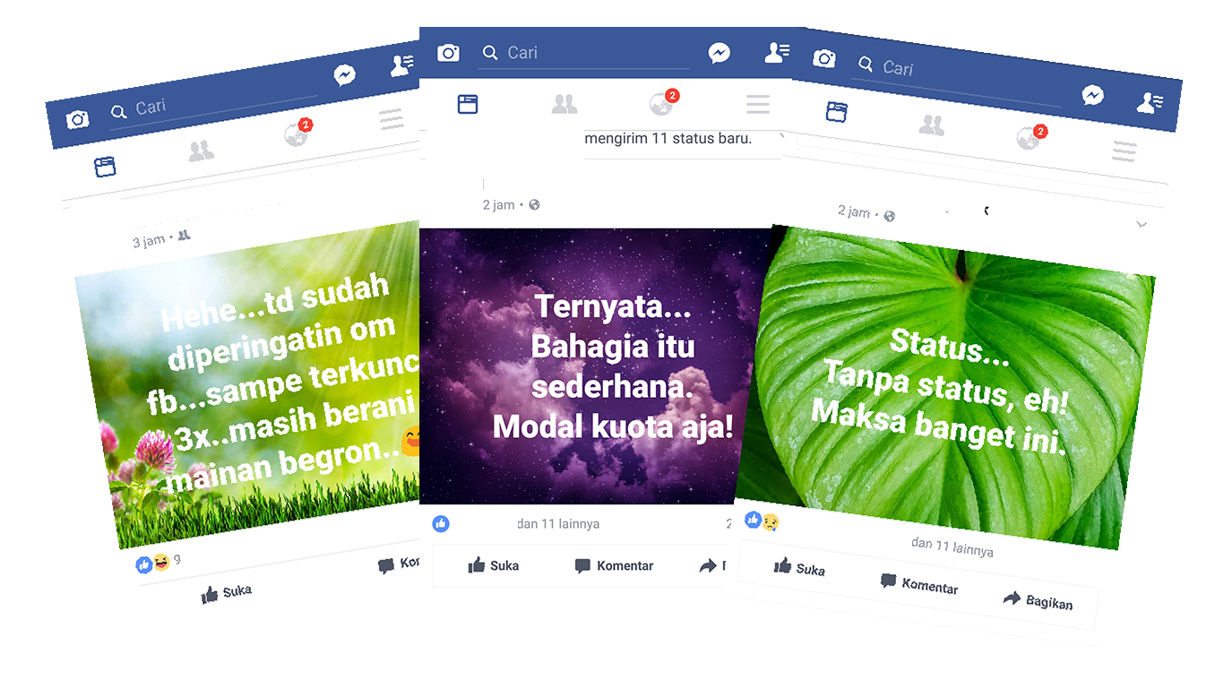 Detail Status Fb Warna Nomer 46