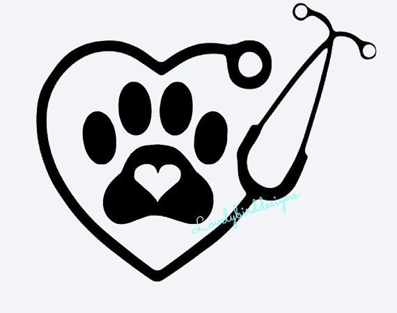 Stethoscope With Paw Prints - KibrisPDR