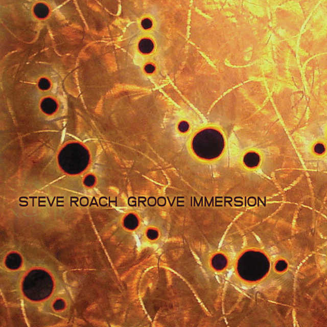 Download Steve Roach Skeleton Keys Nomer 49