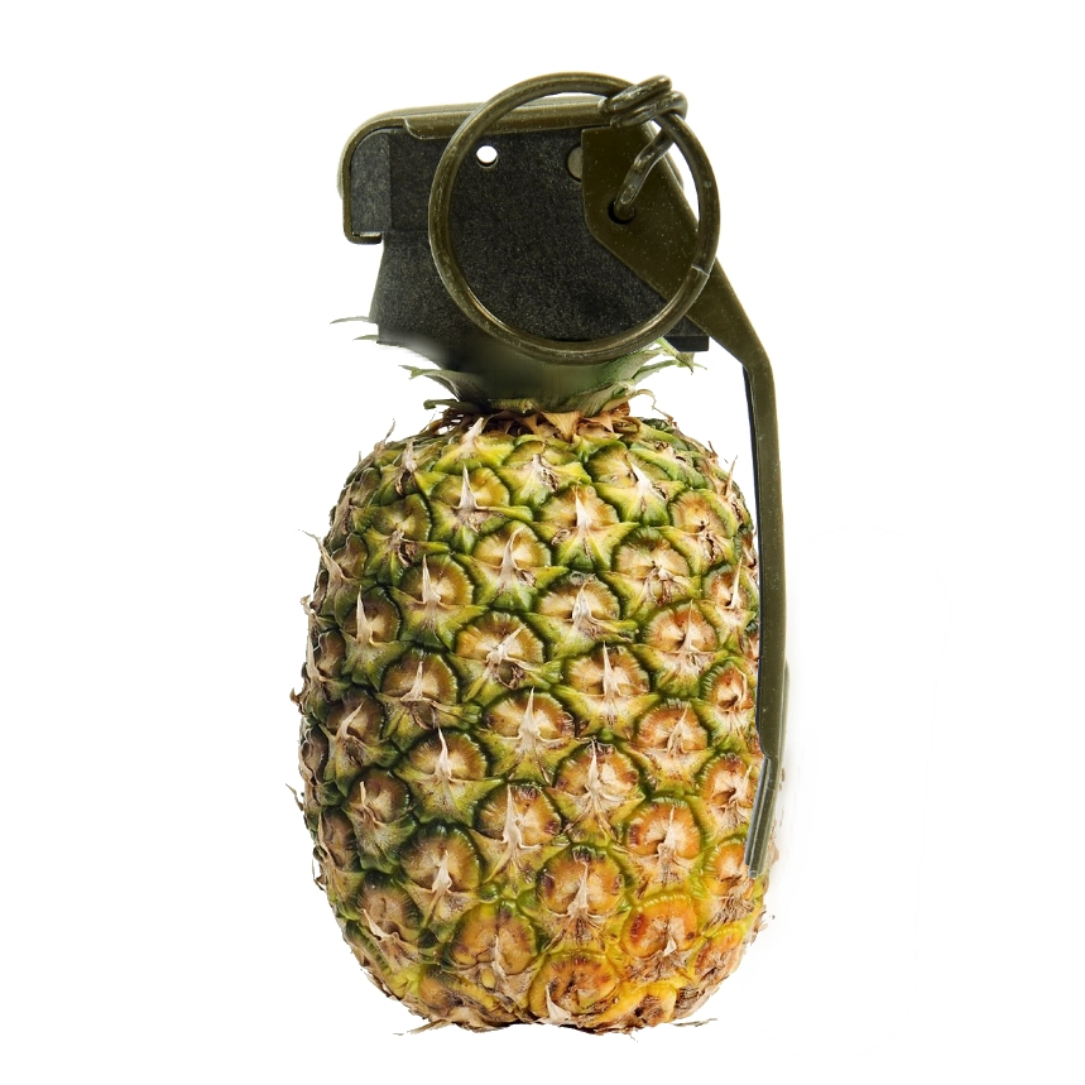 Detail Stick Grenade Vs Pineapple Nomer 5