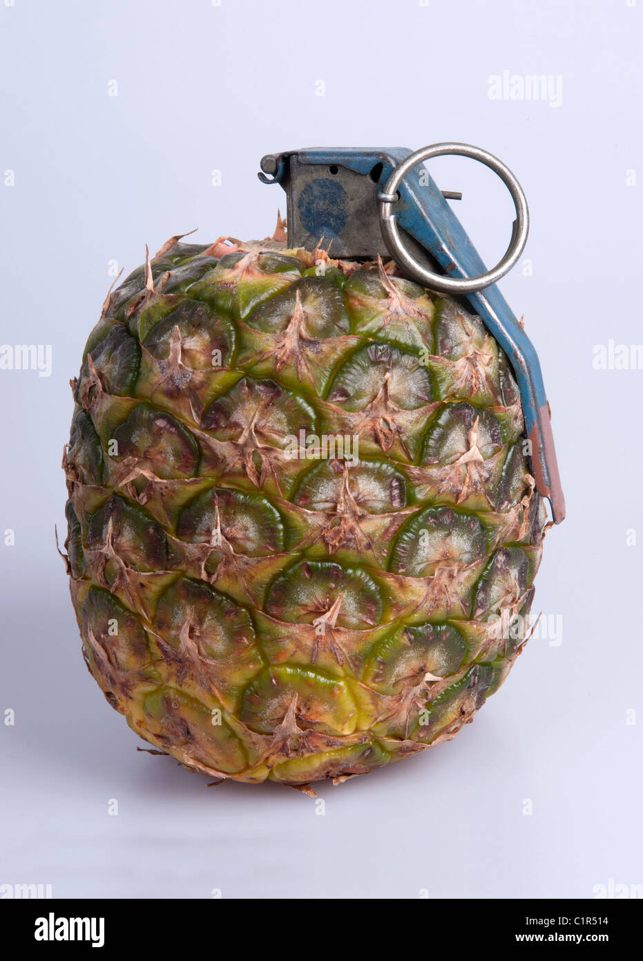 Detail Stick Grenade Vs Pineapple Nomer 47