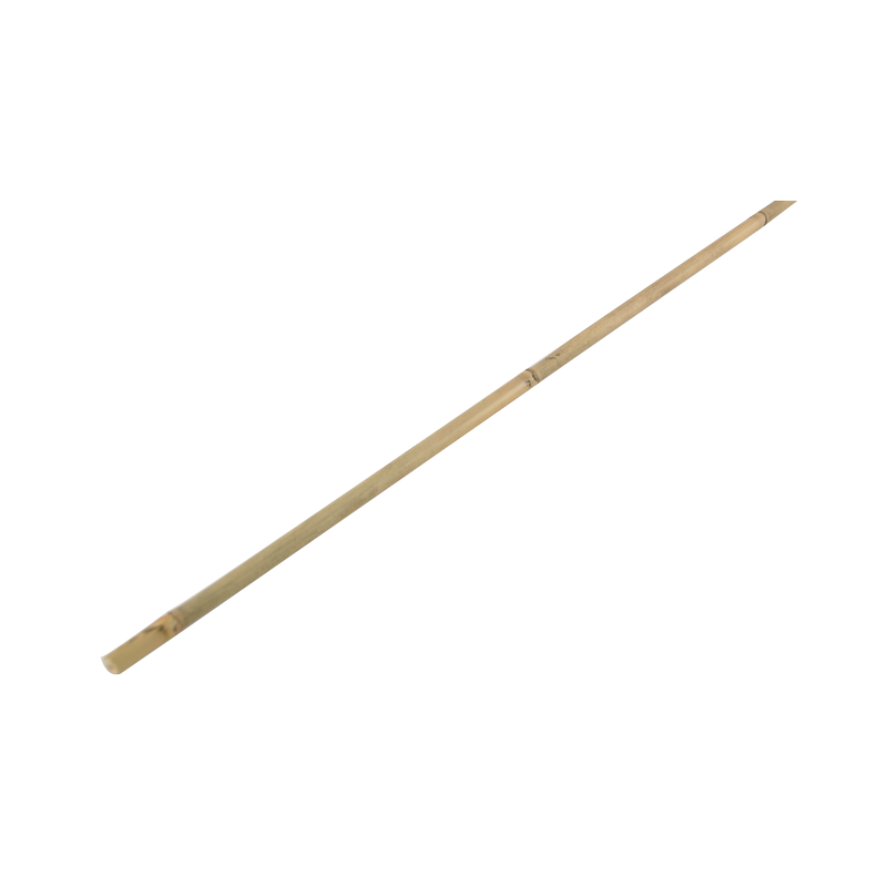 Stick Transparent Background - KibrisPDR