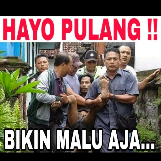 Sticker Wa Meme Indonesia - KibrisPDR