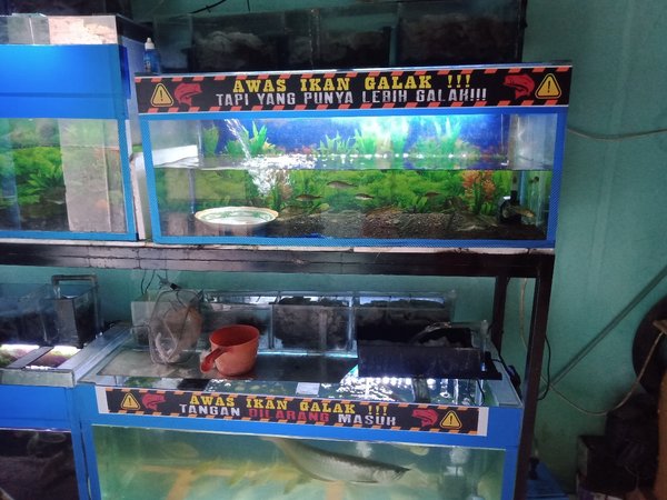 Detail Stiker Aquarium Lucu Nomer 56