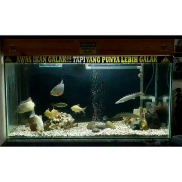 Detail Stiker Buat Aquarium Nomer 32