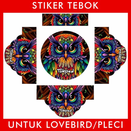 Detail Stiker Burung Lovebird Nomer 32