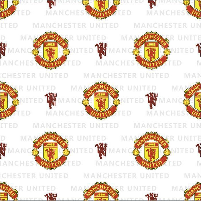 Detail Stiker Dinding Manchester United Nomer 19