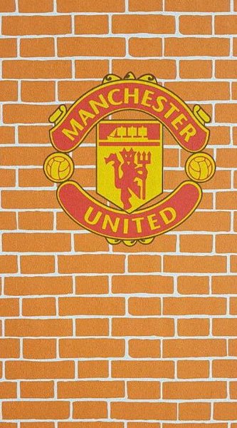 Detail Stiker Dinding Manchester United Nomer 25