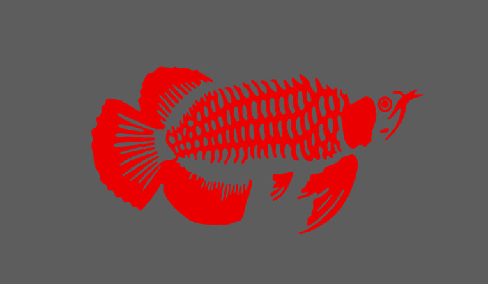 Detail Stiker Ikan Arwana Nomer 37
