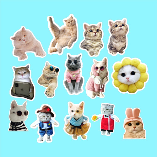 Detail Stiker Kucing Lucu Nomer 41