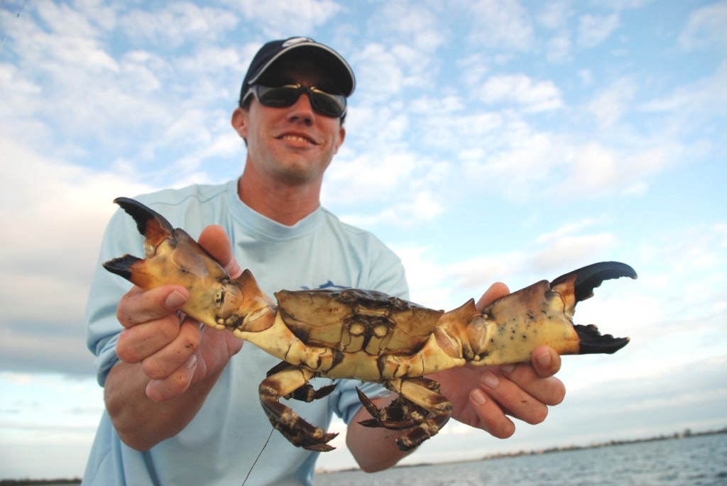 Detail Stone Crab Trap Kit Nomer 20