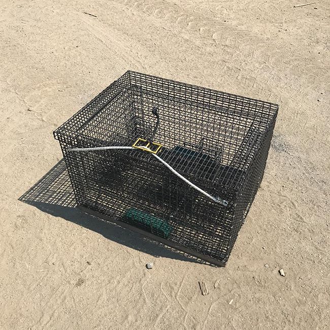 Detail Stone Crab Trap Kit Nomer 34