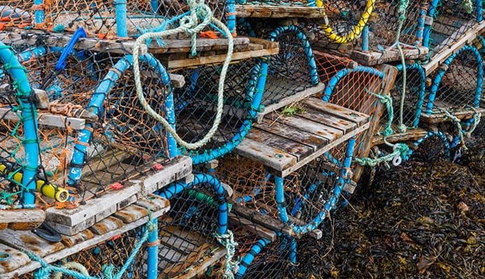 Detail Stone Crab Trap Kit Nomer 43