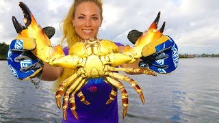 Detail Stone Crab Trap Kit Nomer 7