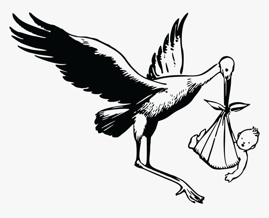 Detail Stork Clipart Black And White Nomer 8