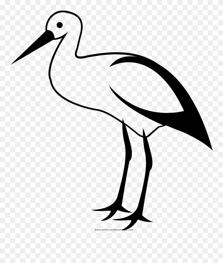 Detail Stork Clipart Black And White Nomer 23