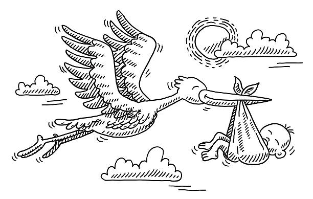 Detail Stork Clipart Black And White Nomer 33