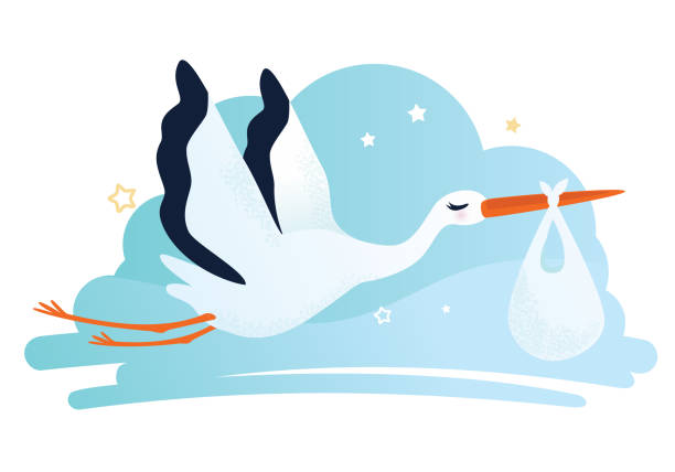 Stork Graphics - KibrisPDR