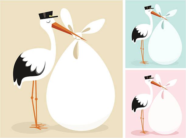 Detail Stork Graphics Nomer 2